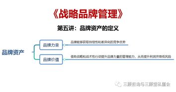 戰(zhàn)略品牌管理 構(gòu)建持久競爭優(yōu)勢的核心